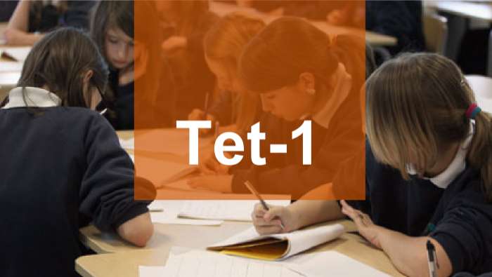 TET-1 exam online MCQ tests series for 1 year