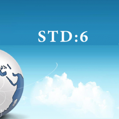 Std 6 Animation Software (DVD) as per GSEB