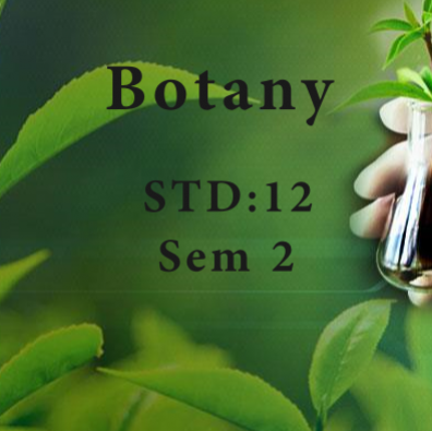 Std 12 Sem 2 Botany (Book + E Net)