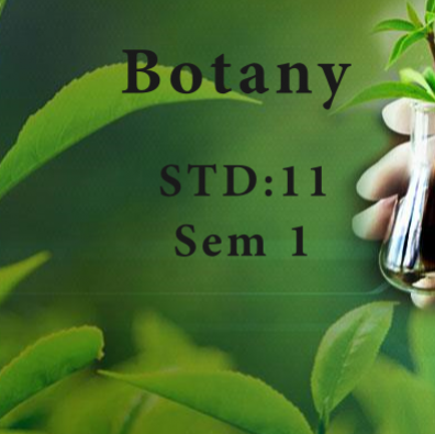 Std 11 Sem 1 Botany (Book + E Net)